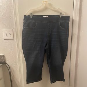 Lane Bryant Capri Jeggings